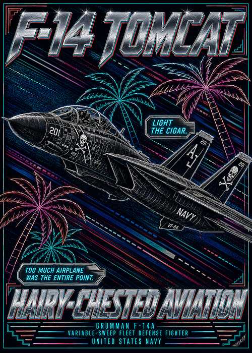 F-14 Tomcat
